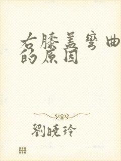 右膝盖弯曲疼痛的原因