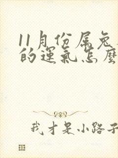 11月份属兔人的运气怎么样