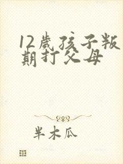 12岁孩子叛逆期打父母