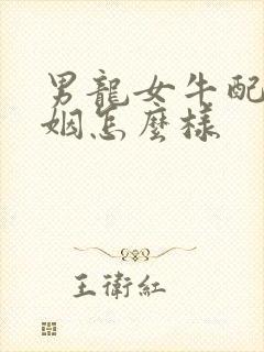 男龙女牛配的婚姻怎么样