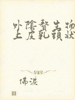 外阴赘生物鳞状上皮乳头状瘤