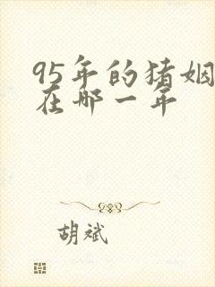 95年的猪姻缘在哪一年