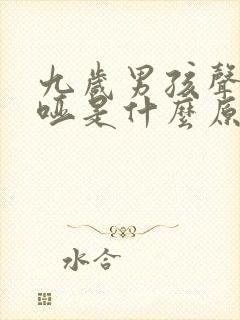 九岁男孩声音嘶哑是什么原因