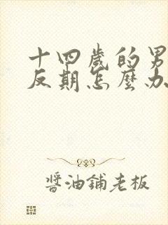 十四岁的男孩逆反期怎么办