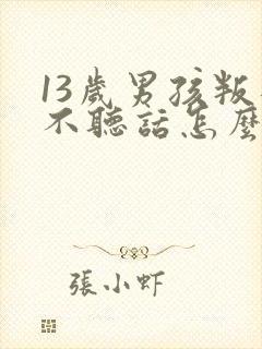 13岁男孩叛逆不听话怎么办