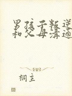 男孩子叛逆期不和父母沟通怎么办