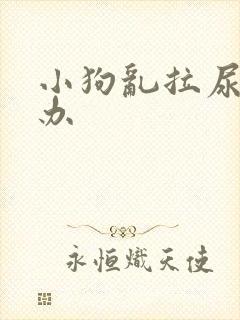 小狗乱拉尿怎么办