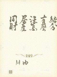 同居没有结婚证财产怎么分割封面