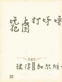 晚上打呼噜白天犯困