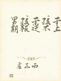 男孩子孩子青春期叛逆不上学怎么劝