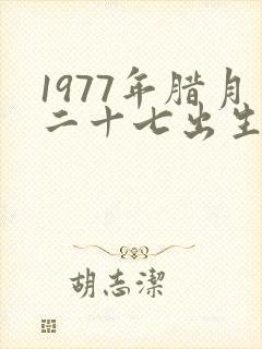 1977年腊月二十七出生的属于什么命