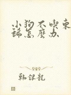 小狗不吃东西拉稀怎么办