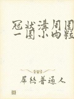 冠状沟周围长了一圈小肉粒