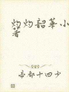 灼灼韶华小说原著