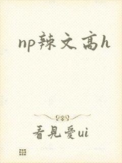 np辣文高h