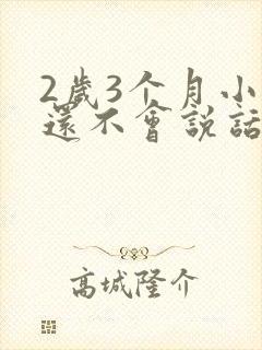 2岁3个月小孩还不会说话封面