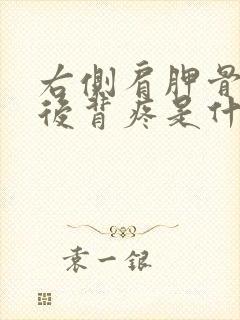 右侧肩胛骨下方后背疼是什么原因