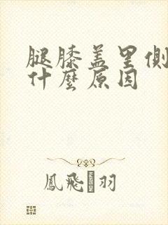 腿膝盖里侧疼是什么原因