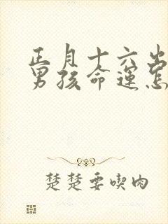 正月十六出生的男孩命运怎么样