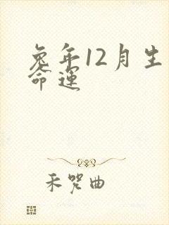 兔年12月生的命运封面