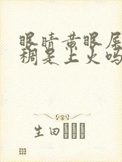 眼睛黄眼屎多粘稠是上火吗