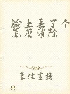 脸上长了个痤疮怎么消除