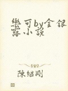 乐可by金银花露小说
