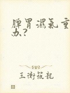 脾胃湿气重怎么办?