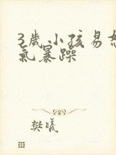 3岁小孩易怒脾气暴躁封面