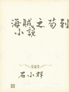 海贼之苟到大将 小说