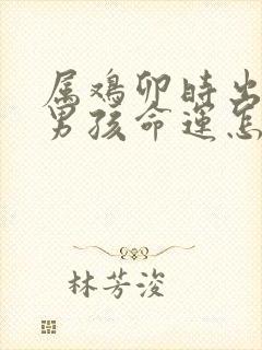 属鸡卯时出生的男孩命运怎么样