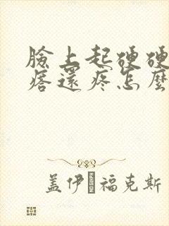 脸上起硬硬的疙瘩还疼怎么回事封面