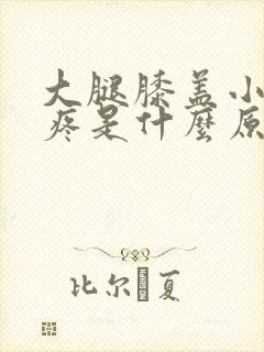 大腿膝盖小腿酸疼是什么原因封面