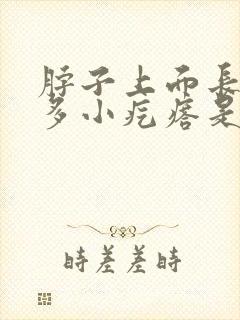 脖子上面长了好多小疙瘩是什么原因封面