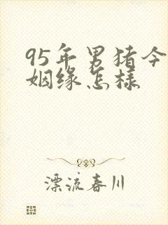 95年男猪今年姻缘怎样