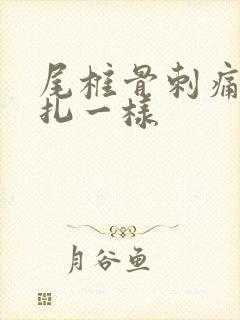 尾椎骨刺痛感针扎一样