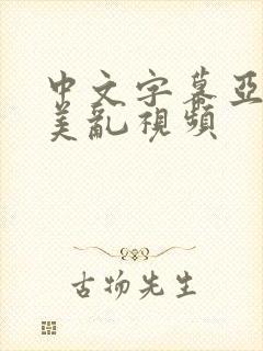 中文字幕亚洲欧美乱视频