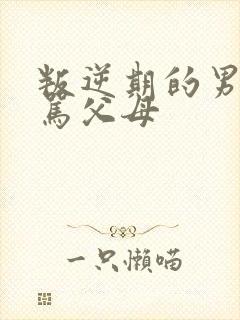 叛逆期的男孩子骂父母