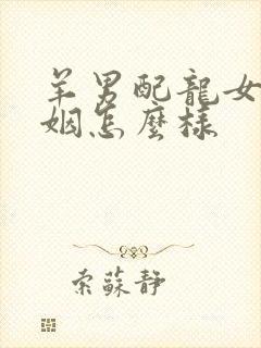 羊男配龙女的婚姻怎么样封面