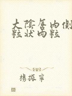 大阴唇内侧有颗粒状肉粒