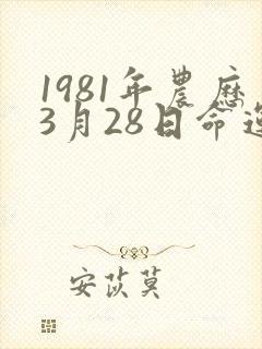 1981年农历3月28日命运封面