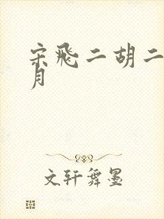 宋飞二胡二泉映月