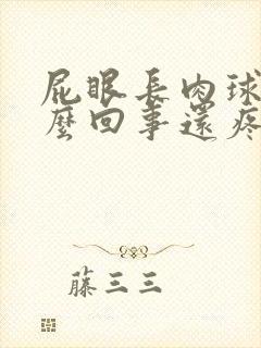 屁眼长肉球是怎么回事还疼封面