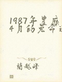 1987年农历4月的兔命运如何
