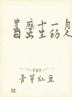 农历十一月十一日出生的人命运