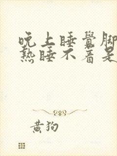 晚上睡觉脚底发热睡不着是什么原因封面