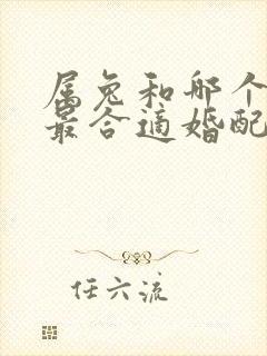 属兔和哪个属相最合适婚配