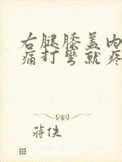 右腿膝盖内侧疼痛打弯就疼为什么