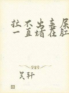 拉不出来屎感觉一直堵在肛门怎么办封面