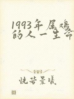 1993年属鸡的人一生命运如何